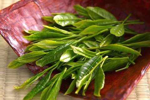 Les 24 Saisons Japonaises (Nijūshi Sekki)