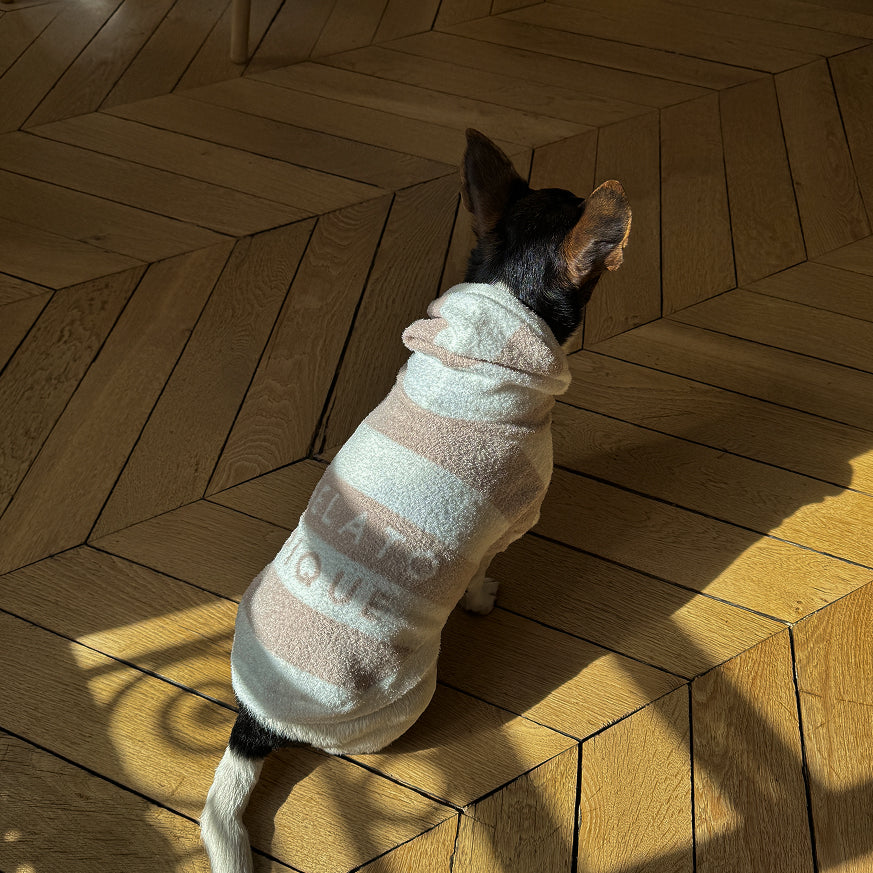 Gelato Pique PET : le loungewear japonais s’invite dans le vestiaire de nos compagnons