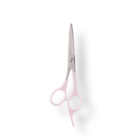 Comb and scissors set