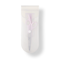 Comb and scissors set