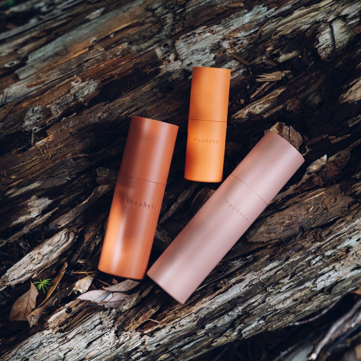 Huile pour le visage Regena 30ml Waphyto