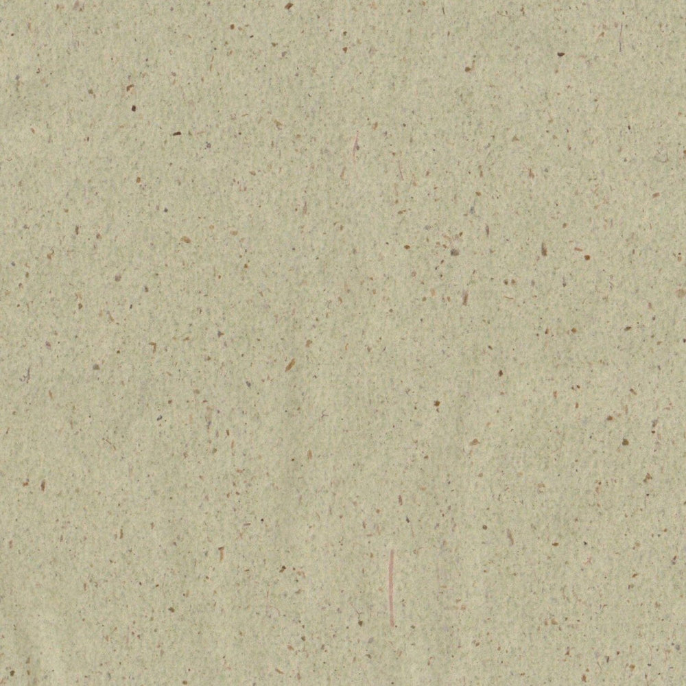 Papier matifiant japonais - thé vert Bijo; Paris