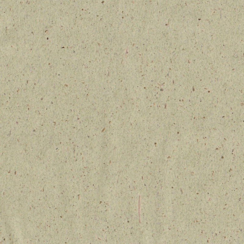 Papier matifiant japonais - thé vert Bijo; Paris